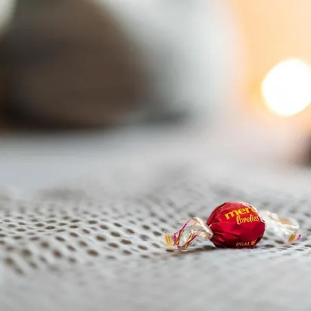 Nautilus In Seenaehe * פרידריכסהאפן